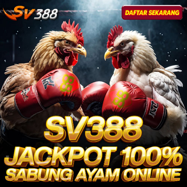 SV388 > Agen Baru Arena Sabung Ayam Online Gacor Terbaru