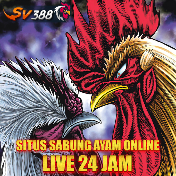 SV388 > Situs Sabung Ayam Online Bonus 7X Win Terbaru Hari Ini